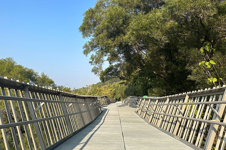 Kínai Fuzhou város erdei járda